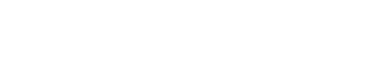 Aspen Avionics